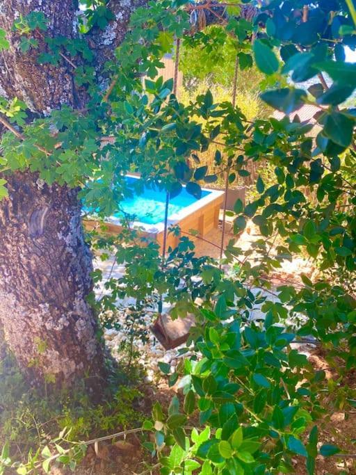 Tiny Liloumaca Coeur Ste Baume Villa Plan d'Aups Exteriör bild